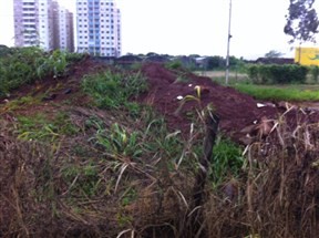 Ouvinte da CBN pede providências para avenida abandonada em Maringá